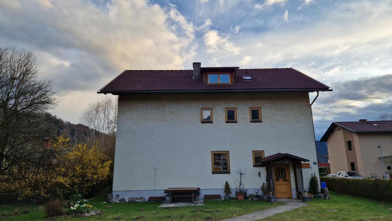 Angerpartments-Sonnige Grosse Wohnung Mit Balkon Und Kostenlosen Parkplatz Dobriach Bagian luar foto